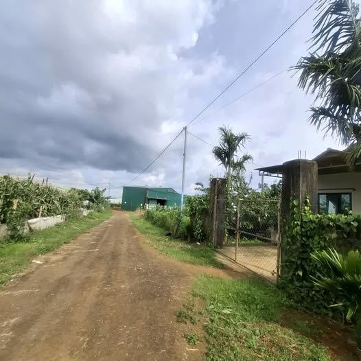 Đất thổ cư Bảo Lộc 340m² giá 2.3 tỷ - Nở hậu, sổ đỏ chính chủ