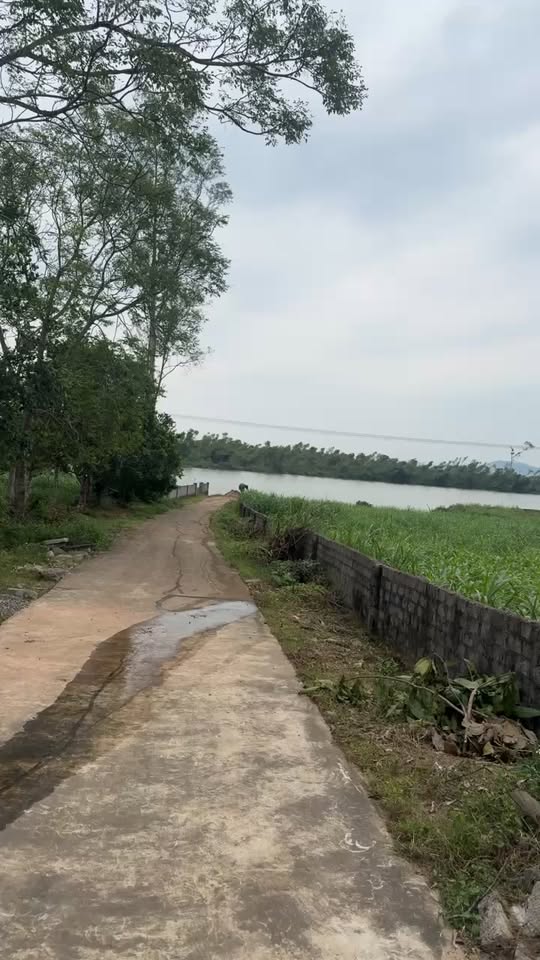 Đất nền xã Đại Sơn, Đô Lương 179m² giá 399 triệu - View hồ tuyệt đẹp!