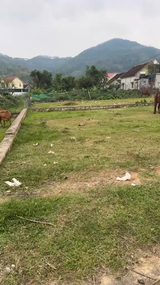 Đất nền 276m² xã Nam Xuân - Phù hợp mở xưởng hoặc làm biệt thự