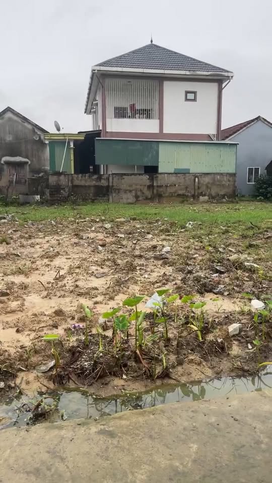 Đất nền Kim Liên, Nam Đàn 140m² giá 1 tỷ - Cơ hội đầu tư tuyệt vời!