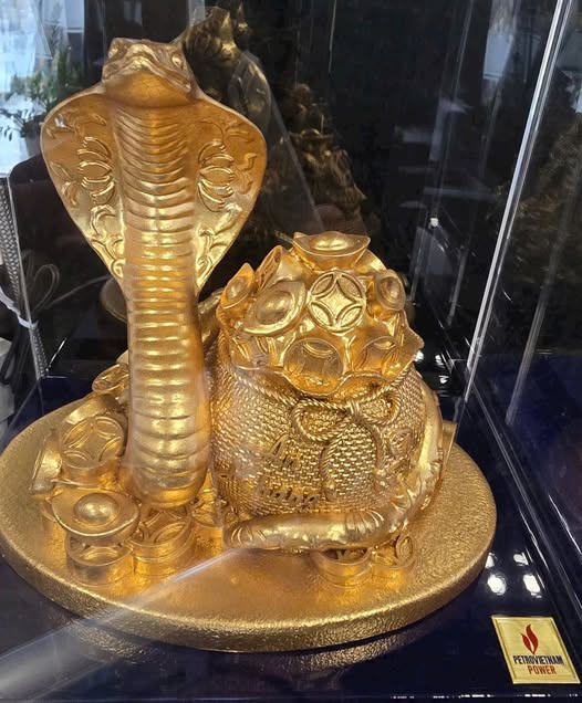 Đất nền 1,4 hecta xã Phú Đông, Nhơn Trạch - Đầu tư tiềm năng, giá tốt!