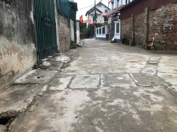 Đất thổ cư Tráng Việt 60m² giá thỏa thuận - Ô tô vào tận đất!