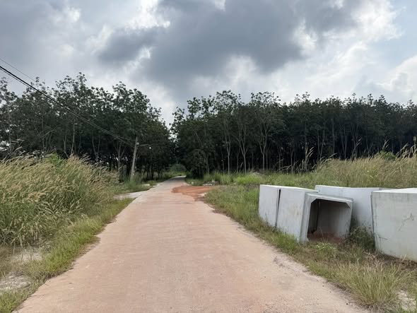 Đất nền phường Minh Hưng, Bình Phước 318m² - Đầu tư sinh lời cao!