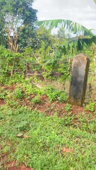 Đất nền 795m² xã Ia Pnôn, Đức Cơ, Gia Lai - Giá 400 triệu, thương lượng ngay!