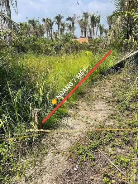 Đất nền Phú Khương Bến Tre 451m² giá 500 triệu - Sổ đỏ chính chủ, xây dựng ngay!