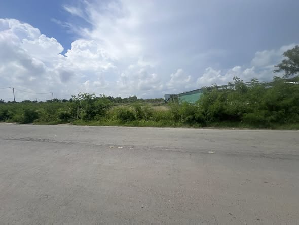 Đất nền mặt tiền đường Duyên Hải Cần Giờ 1500m² giá 49.5 tỷ - Đầu tư sinh lời cực tốt!