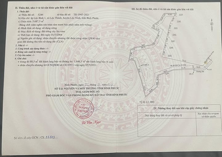 Đất nền Lộc Thành, Lộc Ninh 5688m² giá 2 tỷ - Đầu tư sinh lời bền vững!