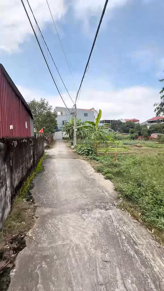 Đất thổ cư 200m² Kim Anh - Giá chỉ 1.6 tỷ - Đầu tư sinh lời ngay!