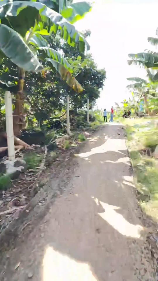 Đất vườn 2000m² tại xã Bàu Hàm, Trảng Bom giá 800 triệu - Cơ hội đầu tư tuyệt vời!