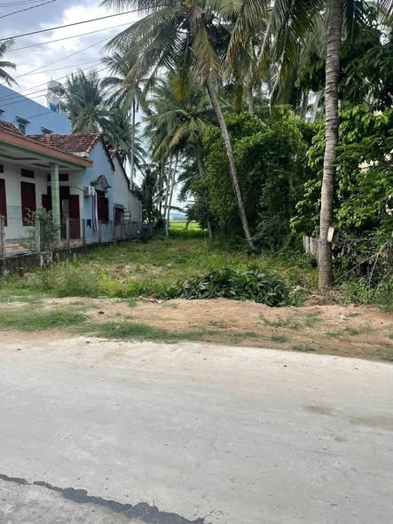 Đất nền đường Mai Xuân Thưởng, Hoài Nhơn 563m² giá chỉ 1 tỷ - Cơ hội đầu tư hấp dẫn!