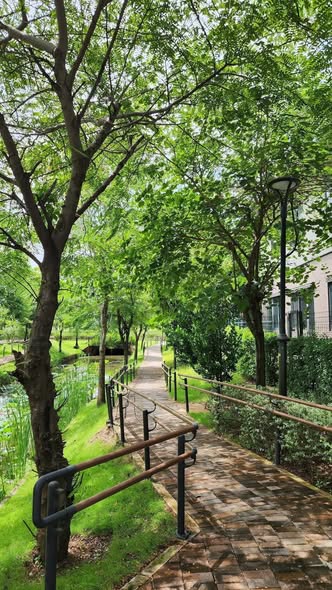 Nhà phố 3 mặt tiền khu đô thị WaterPoint Bến Lức 112m² giá 6.5 tỷ - View kênh đào tuyệt đẹp!