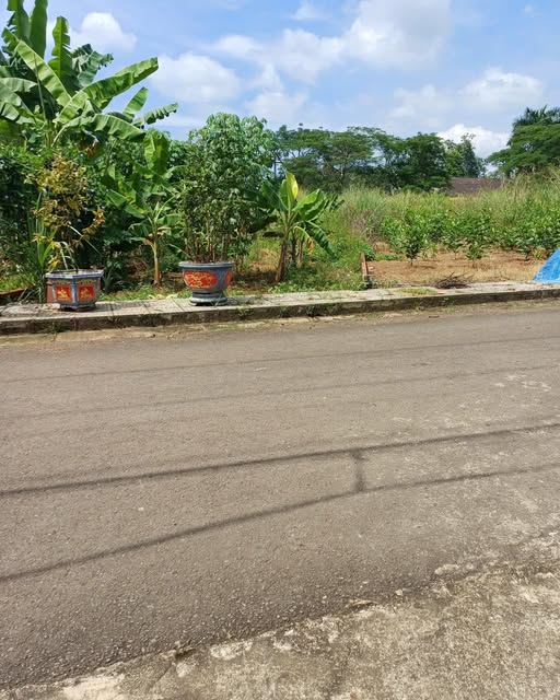 Đất nền Hưng Lộc, Dầu Giây 145m² giá 700 triệu - Sổ đỏ chính chủ, đường nhựa rộng rãi!