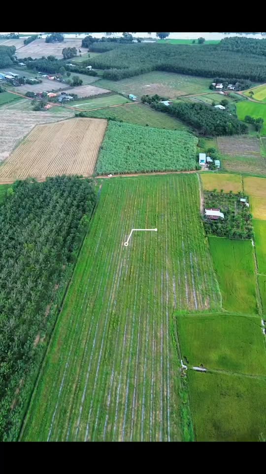 Đất công Ninh Điền Châu Thành 1080m² giá 199 triệu - Cơ hội đầu tư sinh lời!