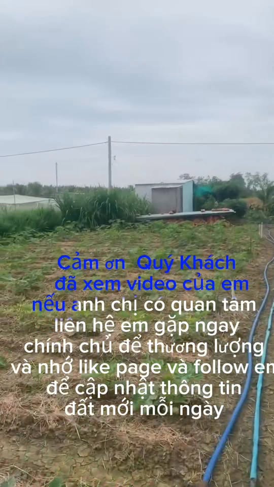 Đất nền 1.552,5m² xã Bình Nghị, Gò Công Đông giá 1,2 tỷ - Đầu tư sinh lời ngay!
