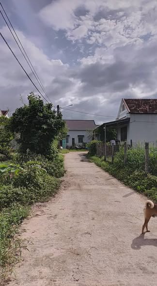 Đất nền thổ cư Nam Tượng 3, Nhơn Tân 118m² - Giá thỏa thuận, sổ đỏ chính chủ!