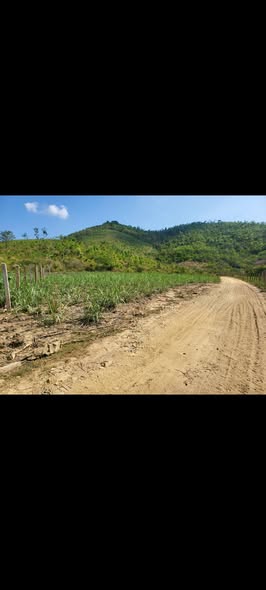 Đất Farm Ninh Hòa 24000m² giá 19.5 tỷ - Cơ hội đầu tư lý tưởng!