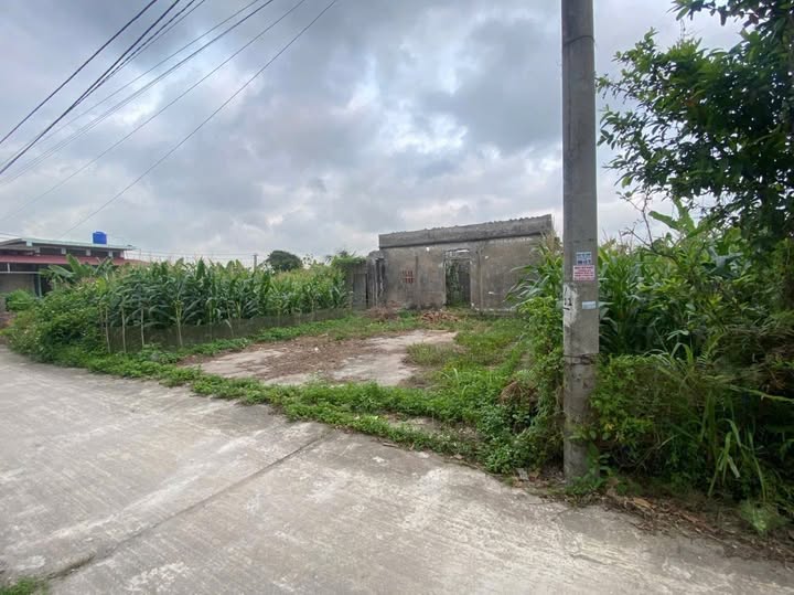 Đất nền Thôn Nghĩa Phong, xã Thuần Thành, 90m² chỉ 300 triệu - Cơ hội đầu tư tuyệt vời!