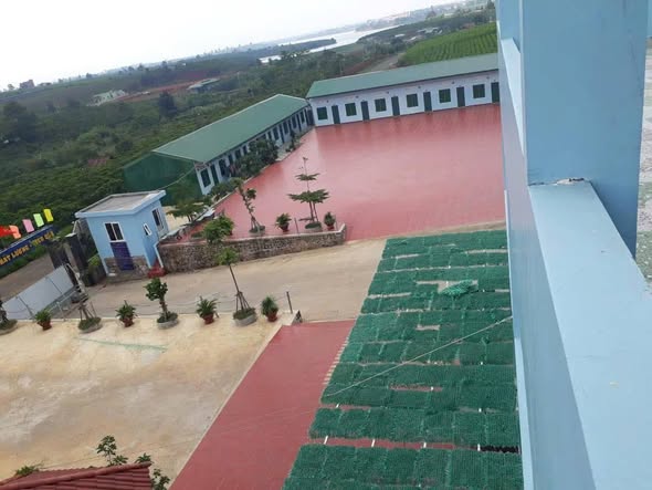 Nhà máy 24.000m² tại KCN Lộc Thắng, Bảo Lâm giá 72 tỷ - Cơ hội đầu tư hấp dẫn!