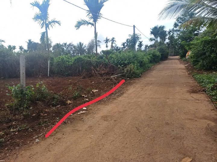 Đất nền Cư Kuin 165m² giá 420 triệu - Sổ đỏ chính chủ, vị trí đẹp!