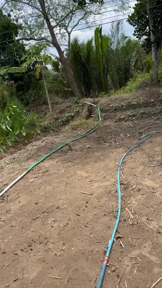 Đất nền lộ nhựa tại Phú Hữu, Hậu Giang 334m² giá 690 triệu - Không thể bỏ lỡ!