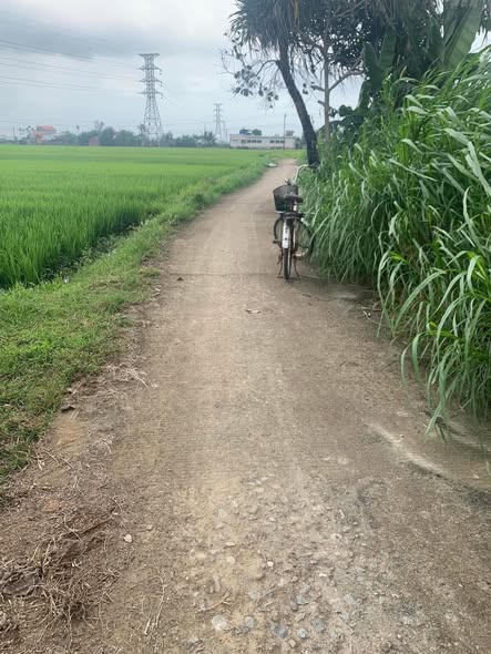 Đất thổ cư Thôn Tú Sơn 1, Mộ Đức 360m² giá 300 triệu - View cánh đồng thoáng đãng!