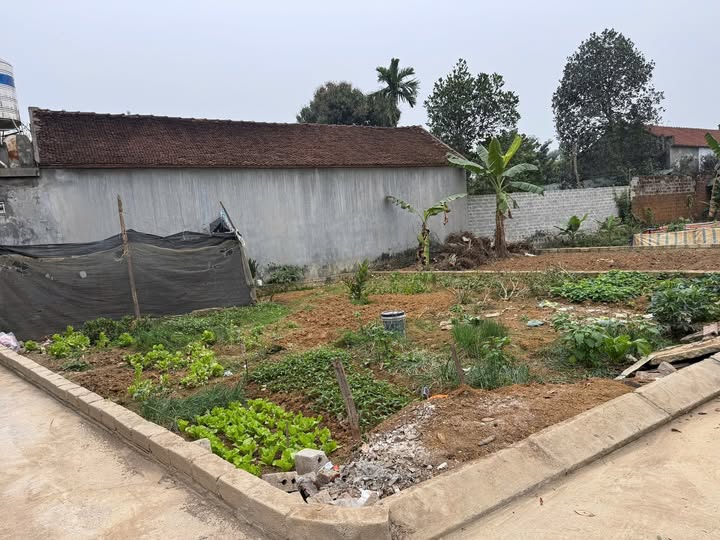 Đất nền góc 2 mặt tiền Đồng Trúc 113m² - Vị trí đắc địa, giá thỏa thuận!