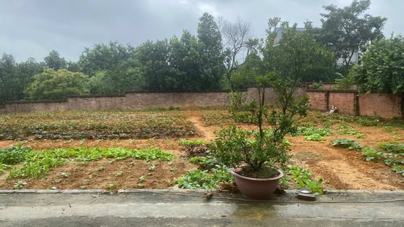 Đất thổ cư 400m² tại Đồng Trúc, Thạch Thất - Giá thỏa thuận, đầu tư sinh lời!