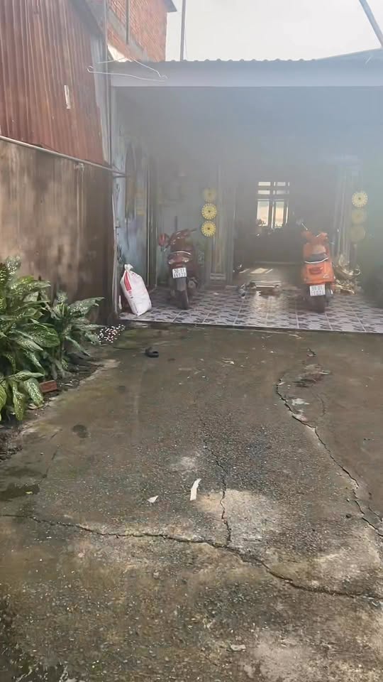 Nhà vườn 300m² Tân Hiệp Hóc Môn giá 5.3 tỷ - Tiện nghi sống an yên!