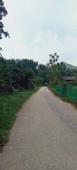 Đất thổ cư 600m² tại xã Võ Miếu, Thanh Sơn - Giao thông thuận tiện, giá thỏa thuận!