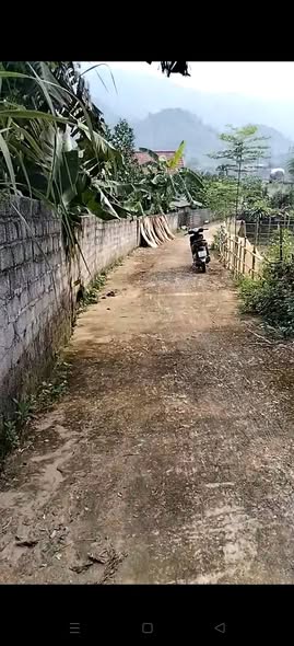 Đất nền Hương Cần Phú Thọ 500m² giá 700 triệu - Sổ đỏ chính chủ, vị trí đẹp!