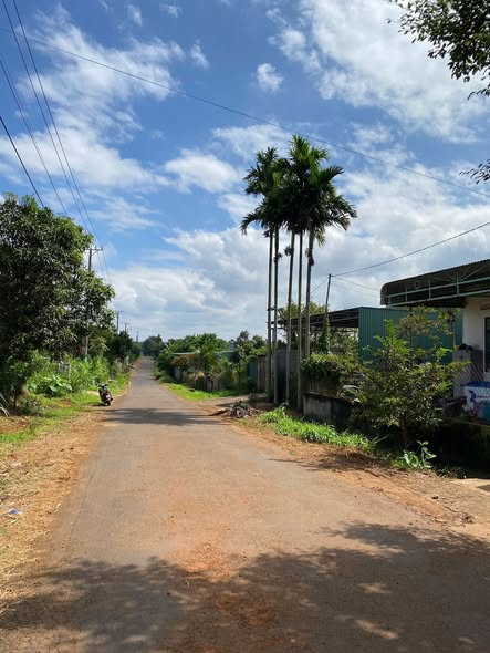 Nhà đất Thành Nhất Buôn Ma Thuột 325m² giá 1.299 tỷ - Cơ hội đầu tư lý tưởng!