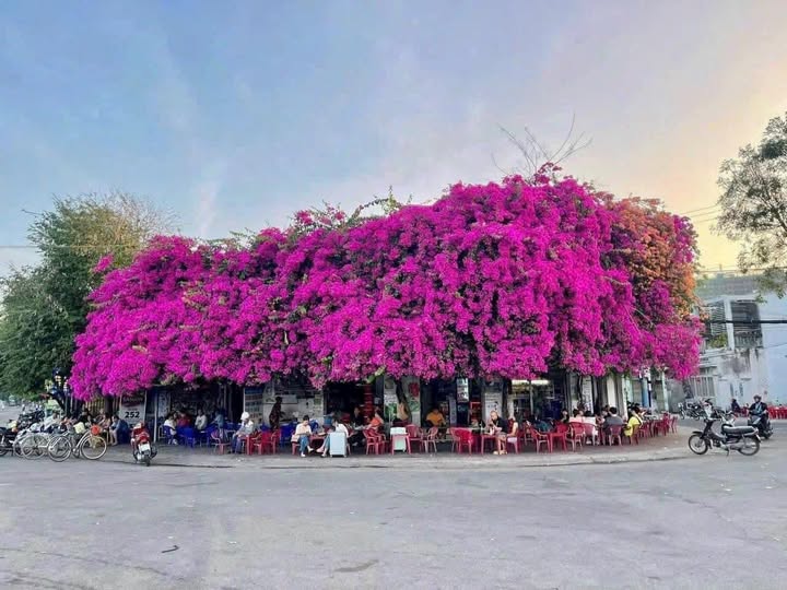 Nhà 1 trệt 1 lầu Võ Thị Sáu, Phan Thiết 128m² giá chỉ 6.8 tỷ - Cơ hội đầu tư tuyệt vời!