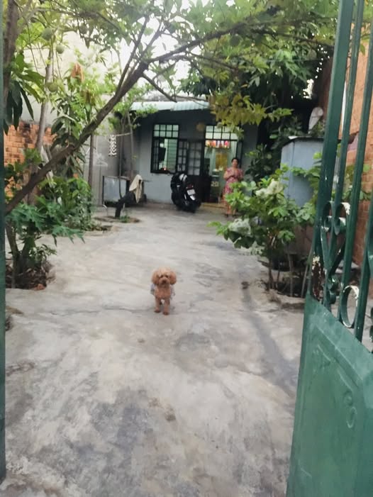 Nhà Hẻm Trần Hưng Đạo, Phú Thủy 140m² giá 2.55 tỷ - Sổ hồng chính chủ!