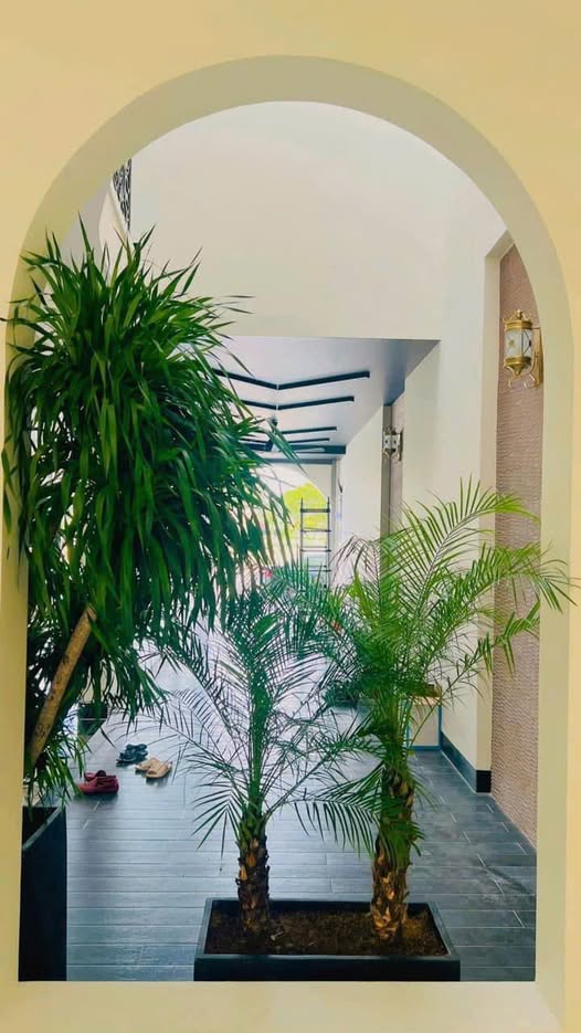 Nhà khu đô thị biển Rạng Đông, Phú Thuỷ, 140m² giá 16 tỷ - Thiết kế hiện đại, full nội thất!