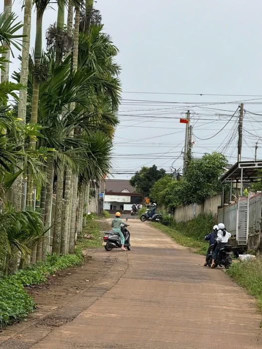 Đất thổ cư Mạc Đĩnh Chi, Đạt Hiếu, 150m² giá 1.49 tỷ - Đầu tư sinh lời ngay!