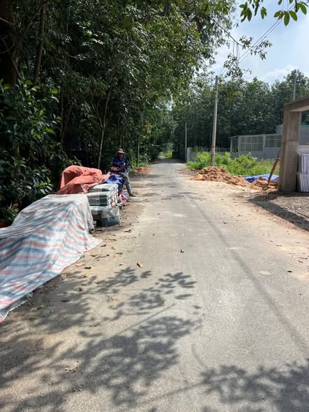 Đất nền Chánh Phú Hòa 209.13m² giá 1.1 tỷ - Đầu tư sinh lời ngay hôm nay!