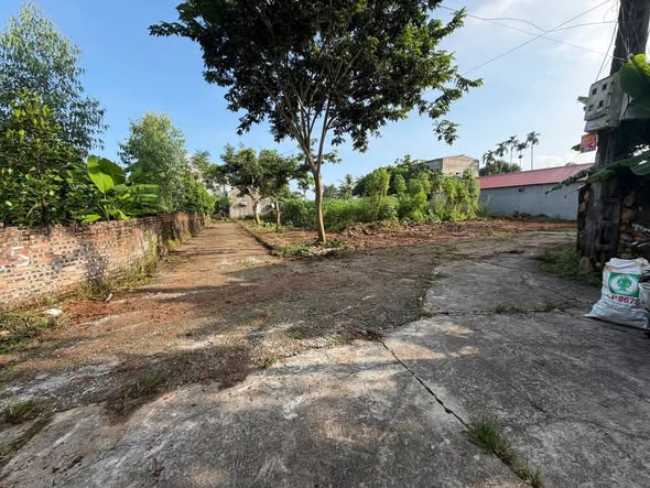 Đất nền 300m² mặt tiền 15m tại Đa Mai, Bắc Ninh giá 2 tỷ - Đầu tư sinh lời ngay!