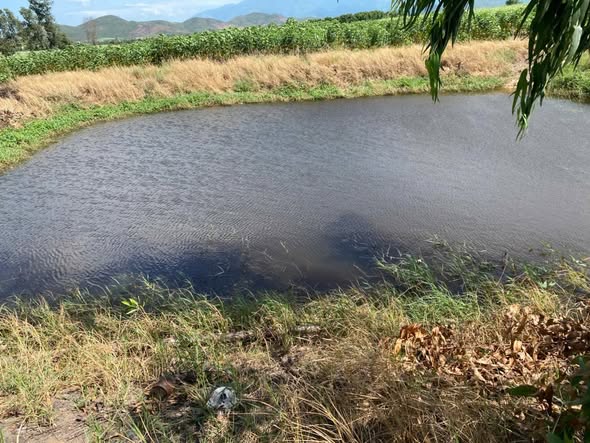 Lô đất lớn 3,7ha tại xã Tân Định, Ninh Hòa, Khánh Hòa - Cơ hội đầu tư tuyệt vời!