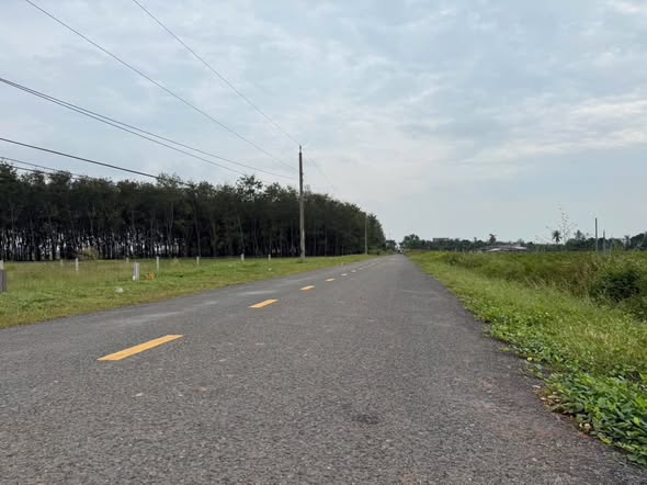 Đất nền Dương Minh Châu 175m² giá 499 triệu - Sổ đỏ chính chủ, hỗ trợ vay ngân hàng!