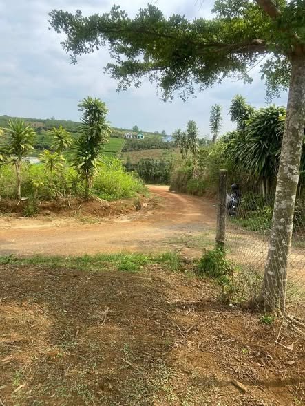 Đất nền Lộc Tân Bảo Lâm 1600m² giá 1.75 tỷ - Đầu tư sinh lời ngay!