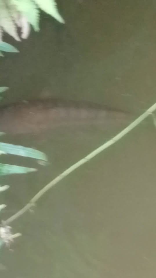 Đất nền thổ cư mặt đường bê tông Nâm Nung 240m² giá 149 triệu - Pháp lý rõ ràng!