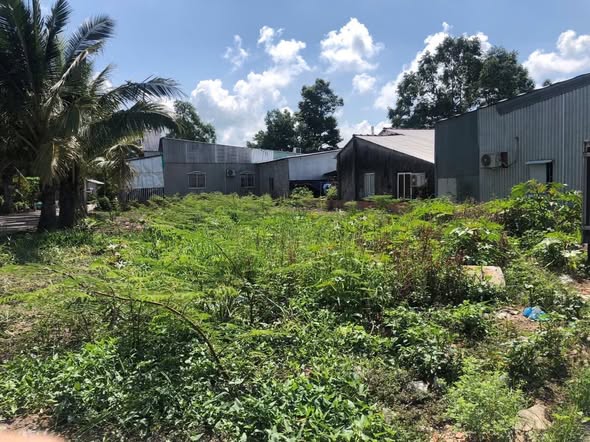 Bán đất lô góc 2 mặt tiền Giồng Riềng 402m² giá 6.2 tỷ - Vị trí đắc địa kinh doanh!