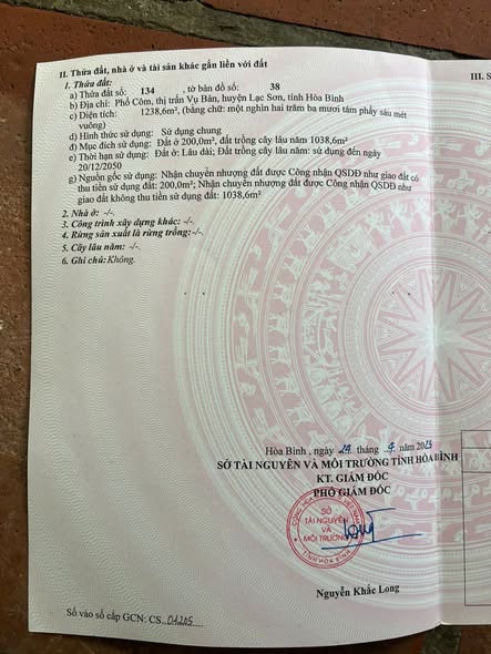 Đất nền Vụ Bản Lạc Sơn 1238m² giá chỉ 999 triệu - Sổ đỏ chính chủ!