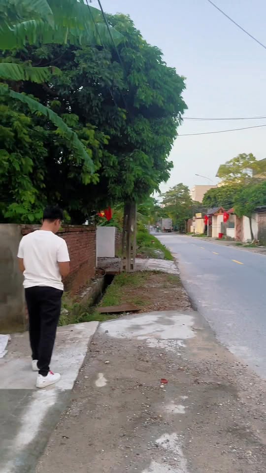 Đất nền chính chủ tại xã Xuân Phú, Yên Dũng, Bắc Giang 252m² giá chỉ 4.788 tỷ - Cơ hội đầu tư tuyệt vời!