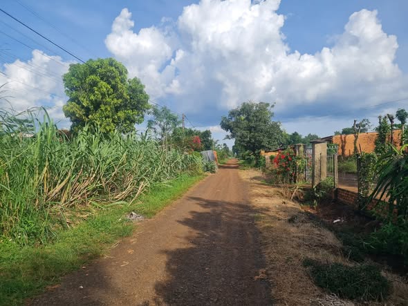 Đất nền Cư M'gar 320m² giá 350 triệu - Lô góc 2 mặt đường thuận lợi!