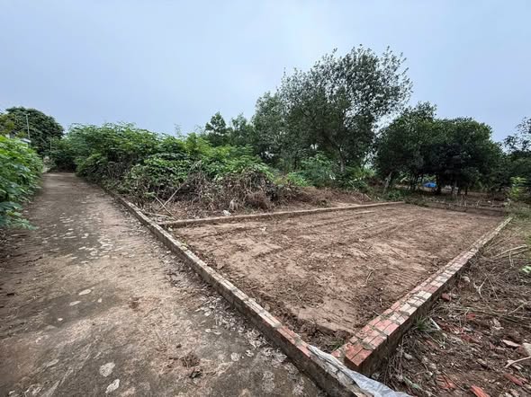 Đất thổ cư Cần Kiệm 63m² giá 1.8 tỷ - Sổ đỏ trao tay ngay!