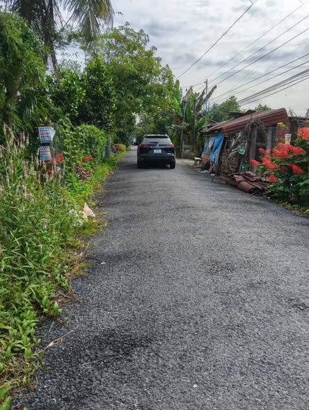 Bán đất thổ cư Tân Bình 601m² giá 1.35 tỷ - Sở hữu mặt tiền kênh