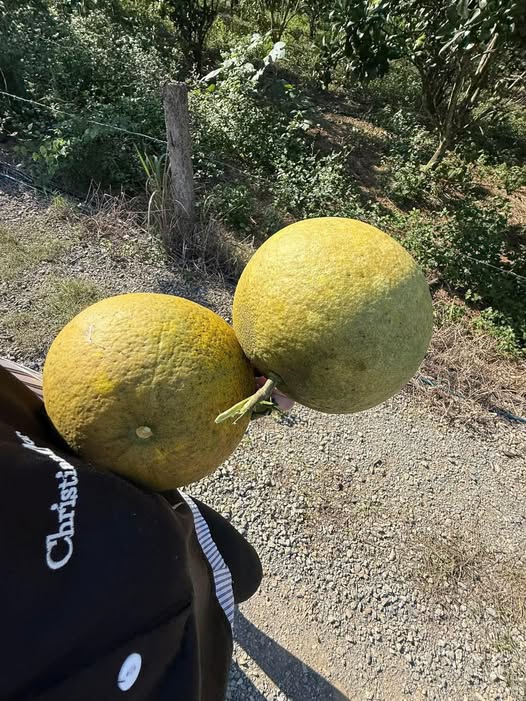 Đất nền Kim Bôi Hòa Bình 3300m² giá 330 triệu - Đầu tư sinh lời ngay!