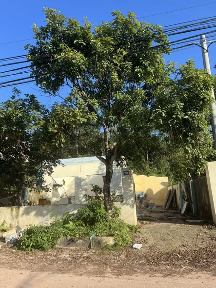 Đất thổ cư mặt đường Thịnh Đán, Thái Nguyên 100m² giá 1.4 tỷ - Cơ hội hiếm có!