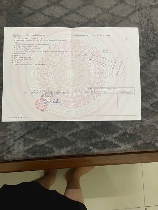 Đất nền Quảng Thanh Thủy Nguyên 80m² giá 1.2 tỷ - Đầu tư sinh lời hấp dẫn!